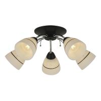 Потолочная люстра Toplight Winnifred TL1255D-05BC