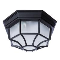 Уличный потолочный светильник Arte Lamp PEGASUS