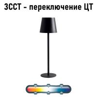Уличный настольный светильник Arte Lamp FUYUE