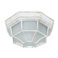 Уличный потолочный светильник Arte Lamp PEGASUS