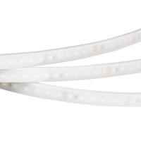 Светодиодная лента Arlight 9,6W/m 120LED/m 3528SMD теплый белый 5M 018997