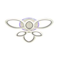 Потолочная светодиодная люстра Wedo Light Salve 75328.01.09.06