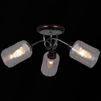 Потолочная люстра Reluce 32298-0.3-03