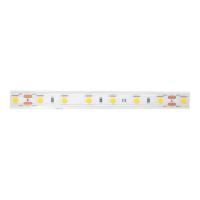 Светодиодная влагозащищенная лента DesignLed 14,4W/m 60LED/m 5050SMD нейтральный белый 5M 002378