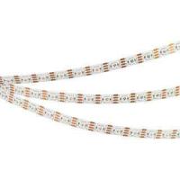 Светодиодная лента Arlight 12W/m 60Led/m 5060SMD разноцветная 5M SPI-B60-10mm 5V RGB-PX1-BPT 037855