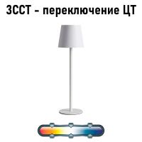 Уличный настольный светильник Arte Lamp FUYUE
