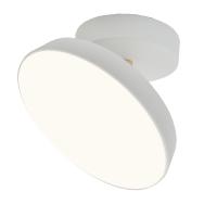 Escada 20023SMA/01 LED 14W белый