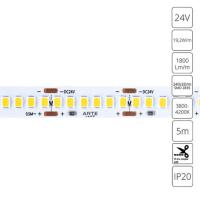 A2424010-02-4K Светодиодная лента 24В 19,2Вт/м 1800Лм/м 4000К 90+ 10мм SMD2835 240шт/м 5м IP20