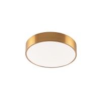 Потолочный светильник Zortes TORTTY ZRS.02566.36, Мощность - 36Вт, Тип лампы:  LED  SMD2835，Оптолинза RIO