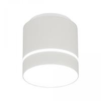 Потолочный светодиодный светильник Citilux Борн CL745020N