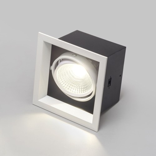 Светильник карданный LED 1*20W встраиваемый, WH IL.0006.2115
