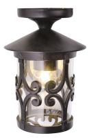 Уличный потолочный светильник Arte Lamp Persia A1453PF-1BK