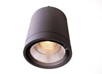 Уличный потолочный светильник Deko-Light Mobby Ceiling WW 730386