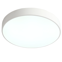 Потолочный светильник Zortes TORTTY ZRS.02564.36, Мощность - 36Вт, Тип лампы:  LED  SMD2835，Оптолинза RIO