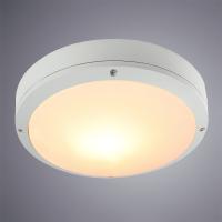 Уличный потолочный светильник Arte Lamp CITY