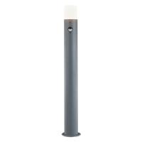Escada 10180/T E27*60W Dark grey