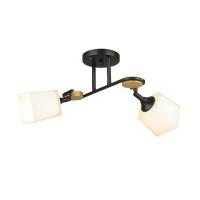Потолочная люстра Wedo Light Ivetta 66582.01.14.02