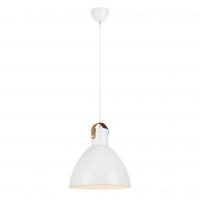 Подвесной светильник Markslojd Eagle 106551