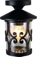 Уличный потолочный светильник Arte Lamp PERSIA