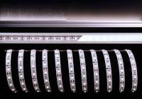 Лента светодиодная Deko-Light 2835-60-12V-6500K-3m 840199