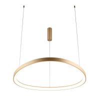 Подвесной светильник Aployt Zula APL.022.03.60