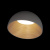 Потолочный светодиодный светильник Loft IT Egg 10197/350 Grey