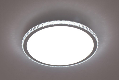 Потолочный светодиодный светильник Escada 10270/S LED