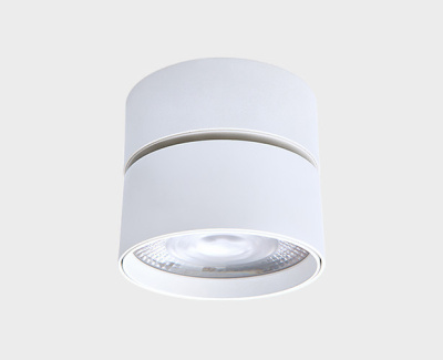 IT02-011 white 4000K светильник потолочный
