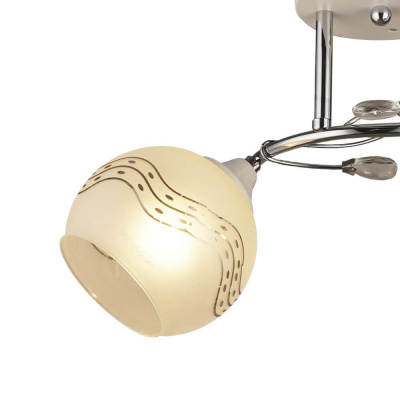 Потолочная люстра Wedo Light Vayona 66019.01.64.02