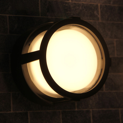 Уличный потолочный светильник Arte Lamp ULYSSES
