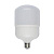 Светодиодная лампочка Volpe LED сверхмощная E27 30W 4000K LED-M80-30W/NW/E27/FR/S 10811