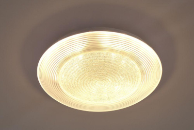 Потолочный светодиодный светильник Escada 10267/S LED