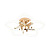 Escada 10265/5 LED*50W Gold