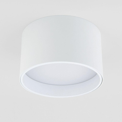 Потолочный светодиодный светильник Elektrostandard 25123/Led Banti 13Вт 4200K a058846