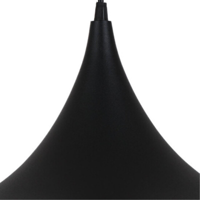 Подвесной светильник Arte Lamp CARMEL A7080SP-1BK