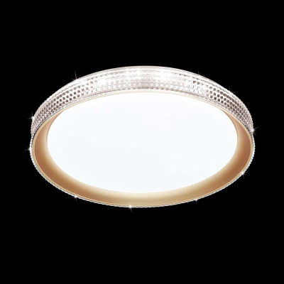 Настенно-потолочный светодиодный светильник Sonex Pale Shiny 3054/DL