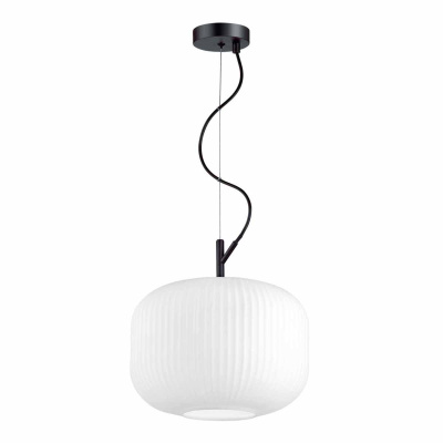 Подвесной светильник Odeon Light Pendant Roofi 4754/1