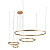 Подвесной светодиодный светильник Loft IT Ring 10017/4M