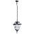 Уличный подвесной светильник Arte Lamp Paris A1355SO-1BS