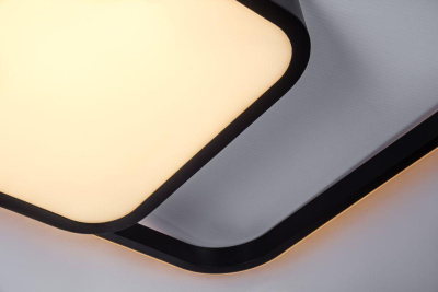 Потолочный светодиодный светильник Escada 10210/2LED