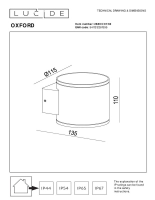 Уличный настенный светильник Lucide Oxford 28803/01/30