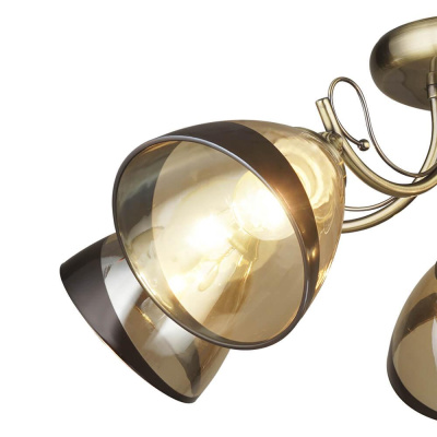 Потолочная люстра Wedo light Бареджо 66269.01.05.05