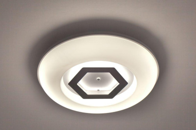 Потолочный светодиодный светильник Escada 10254/S LED