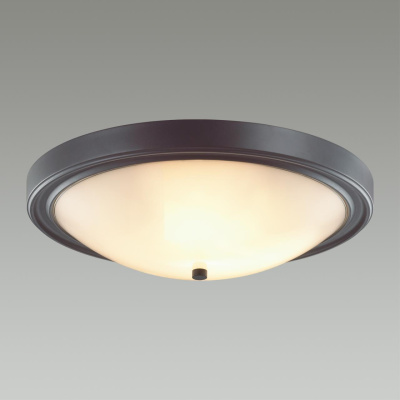 Настенно-потолочный светильник Lumion Vintage Nina 5260/4C