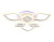 Потолочная светодиодная люстра Ambrella light Ice FA282