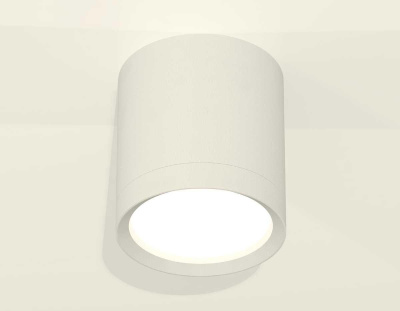 Комплект накладного светильника Ambrella light Techno Spot XS (C8141, N8112) XS8141001