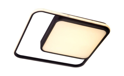 Потолочный светодиодный светильник Escada 10210/2LED