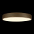 Потолочный светодиодный светильник Loft IT Flims 10228/A