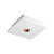 Потолочный светодиодный светильник Loft IT Architect OL1072-WG/1