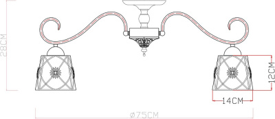 Потолочная люстра Arte Lamp FORTUNA